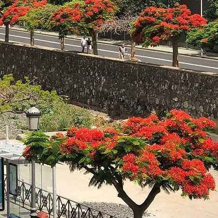 San Sebastian 65 アパート *